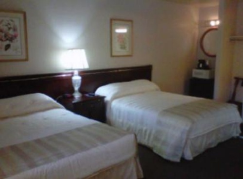 Caravelle Inn & Suites image 12