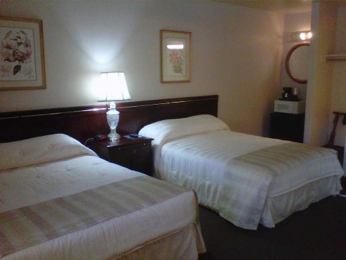 Caravelle Inn & Suites image 8